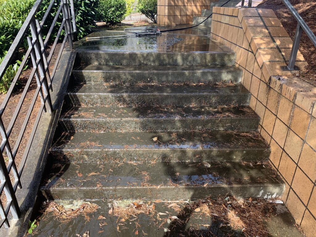 before Surface Protection